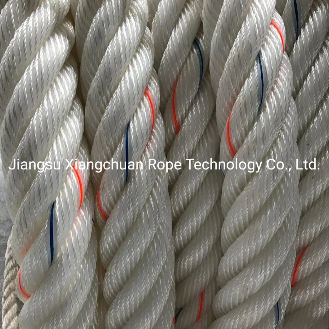 OEM Customized Ropes 3 4 6 8 12 24 Strand Double Braided Rope PP Danline Polypropylene Polyester Nylon Polyamide Multifilament UHMWPE HDPE Mooring Towing Rope