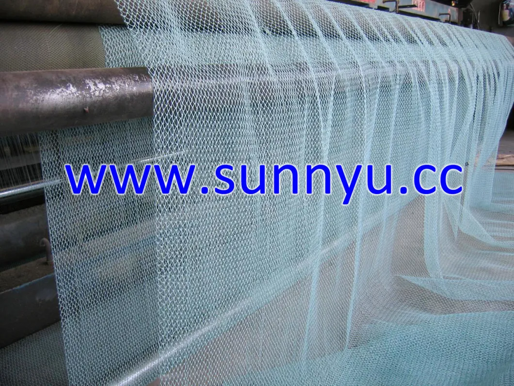 Blue PE Net/Fishing Net Cargo Net, Nylon Net